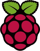 raspberry pi logo